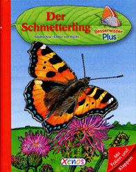 Schmetterling - Packshot