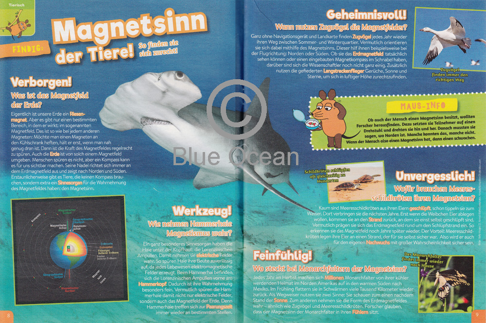 Maus03/17 Magnetsinn - gross